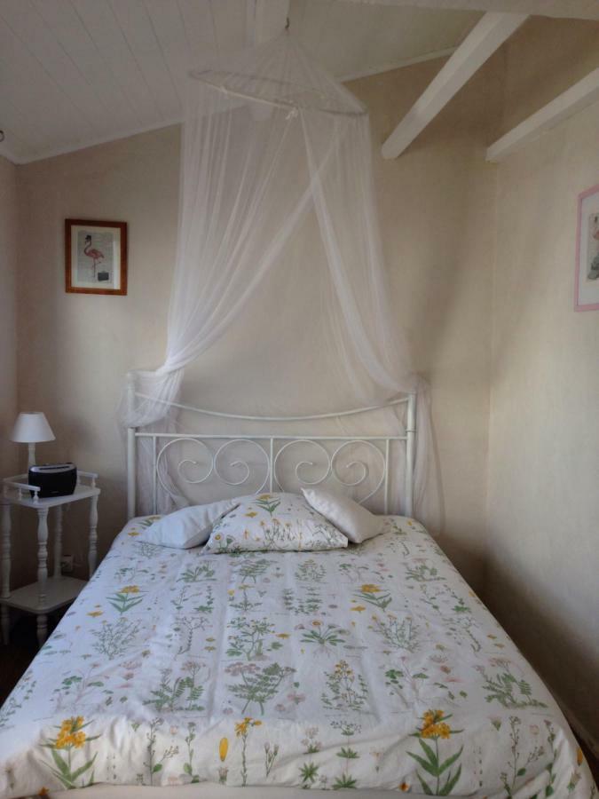 Seb&Laeti Guesthouse Saint-Laurent-d'Aigouze Ngoại thất bức ảnh